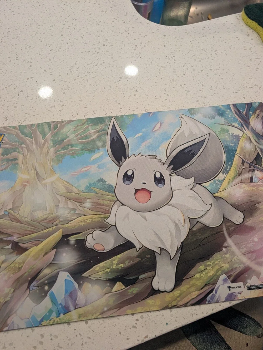 Eevee Playmat Pokemon GO- GENTLY USED